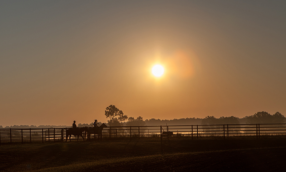 Town Creek Farm