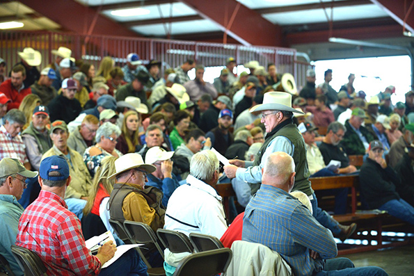 A large crowd from 12 states, Paraguay, South America, and Thailand, Asia, participated in the Town Creek Farm Sale.