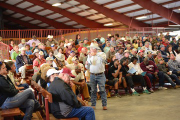 Town Creek Farm Sees Powerful Demand for their Brangus and Ultrablack Genetics